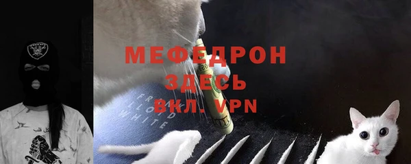 гашик Пересвет