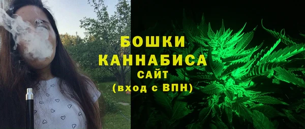 гашик Пересвет