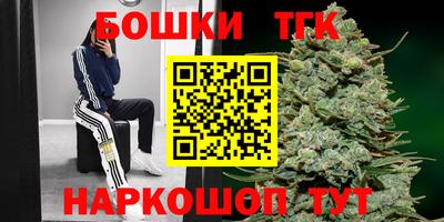 хмурый Гатчина