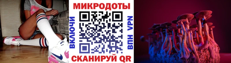 Галлюциногенные грибы Psilocybe  купить   Ярцево 